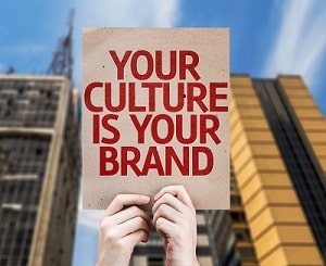 Have You Got the Right Culture?